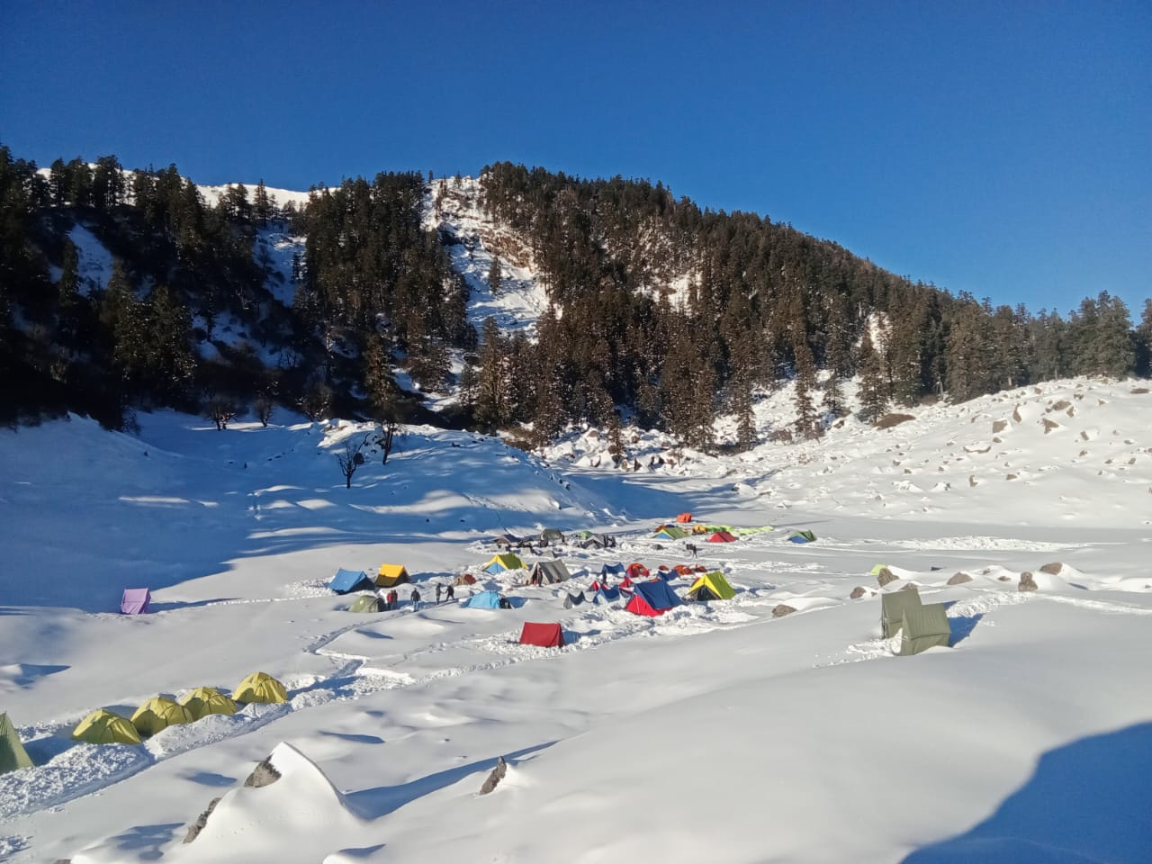 Sunset view Kuari Pass trek meadow