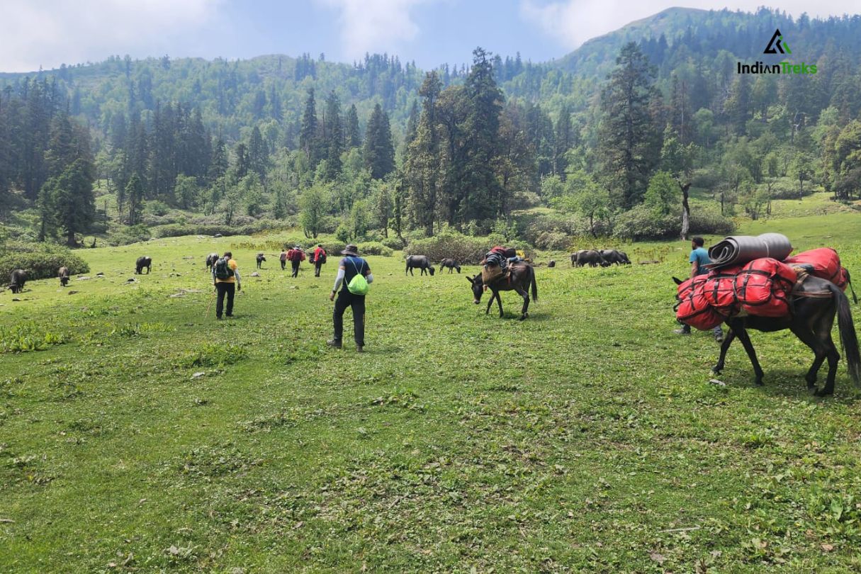 Kedarkantha trek best time summer green meadows