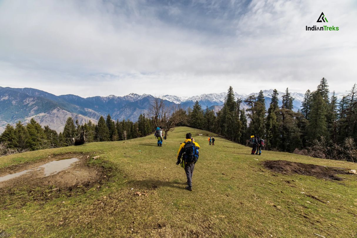 Kedarkantha trek summer green meadows walking