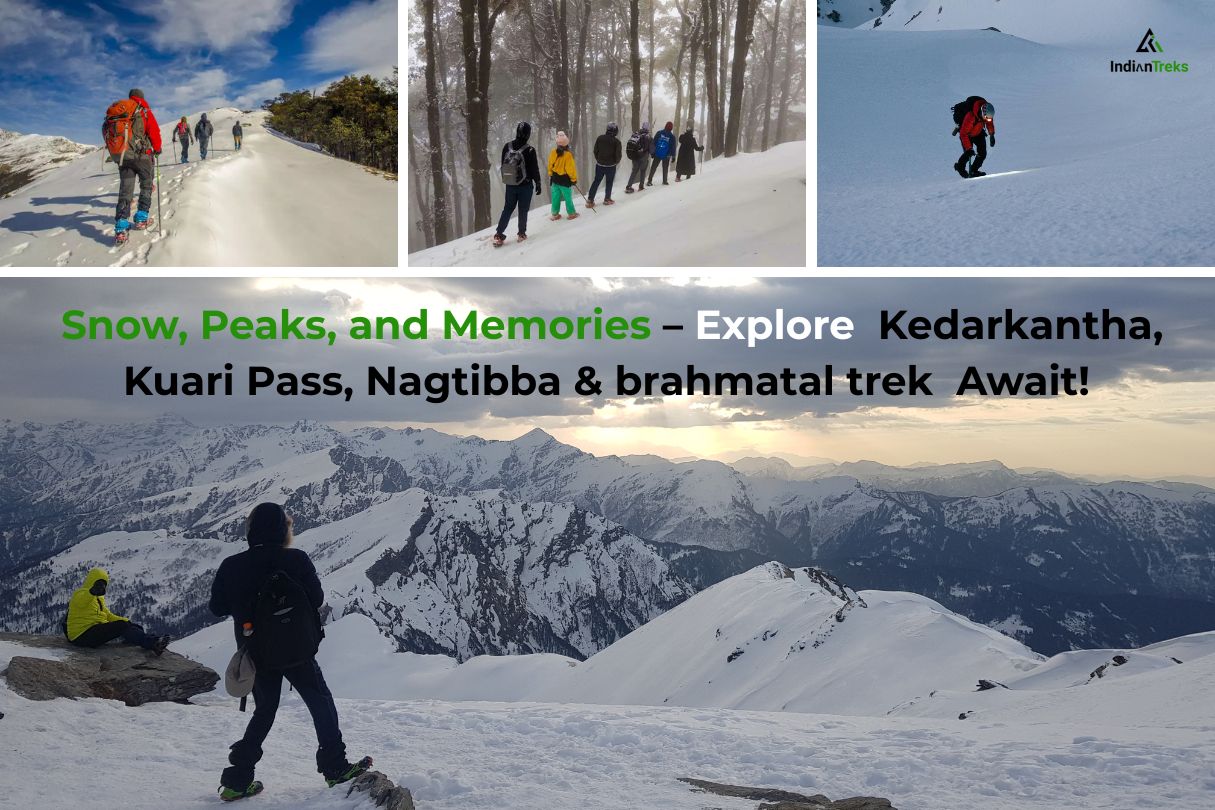 Hikers exploring Kedarkantha, Kuari Pass, Nagtiba, and Bhramtal treks in the Himalayas