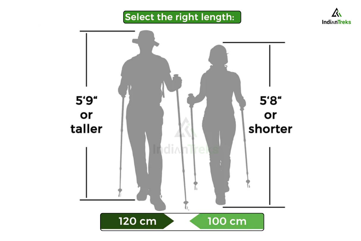 Trekker using trekking poles on a mountain trail
