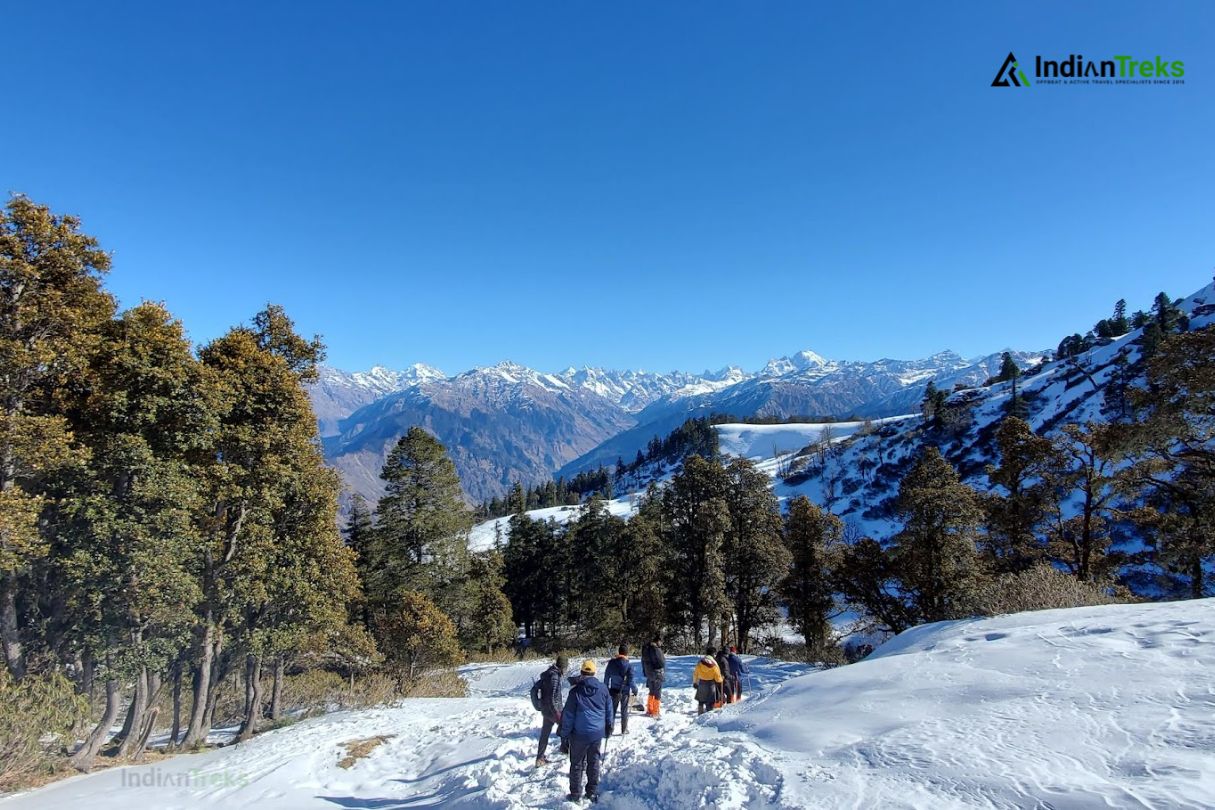 Forest Trail in Winter Kedarkantha