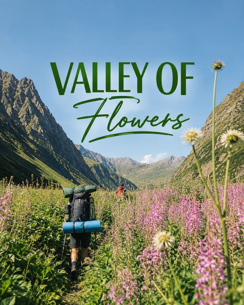 Valley of Flowers Trek