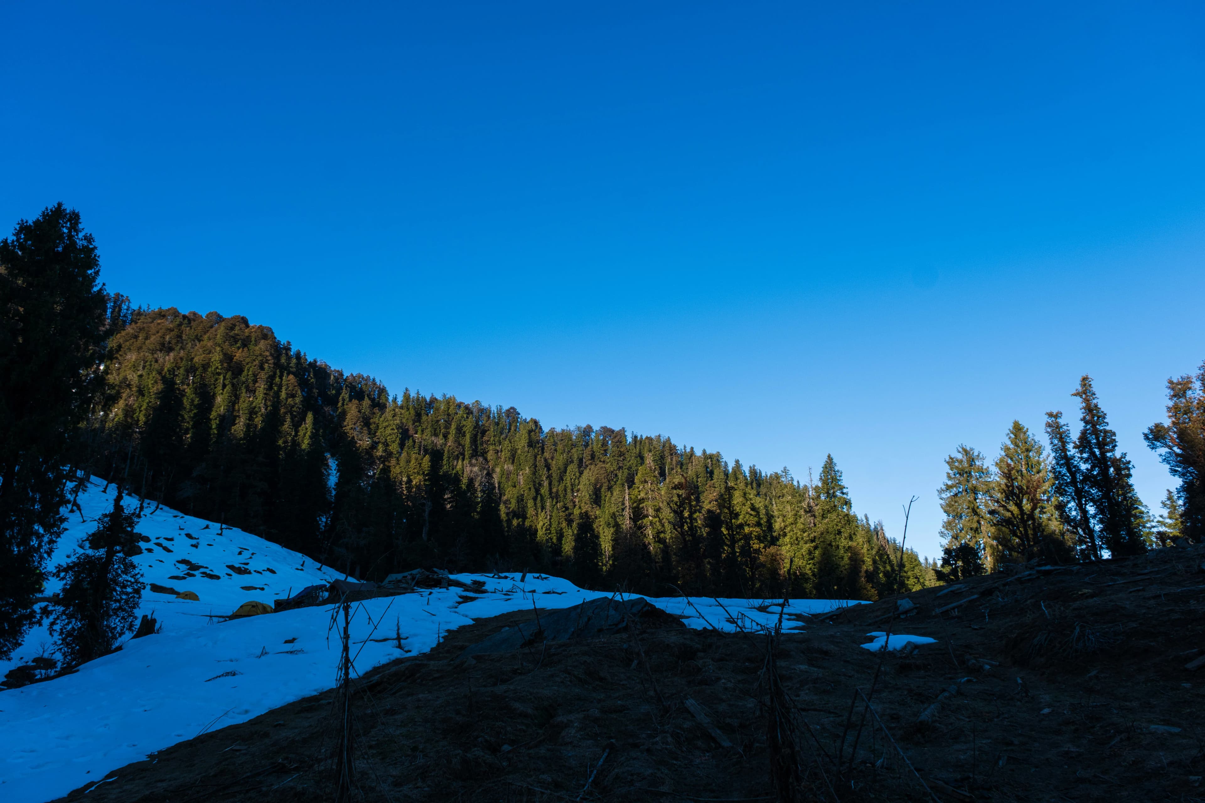 Kedarkantha Trek