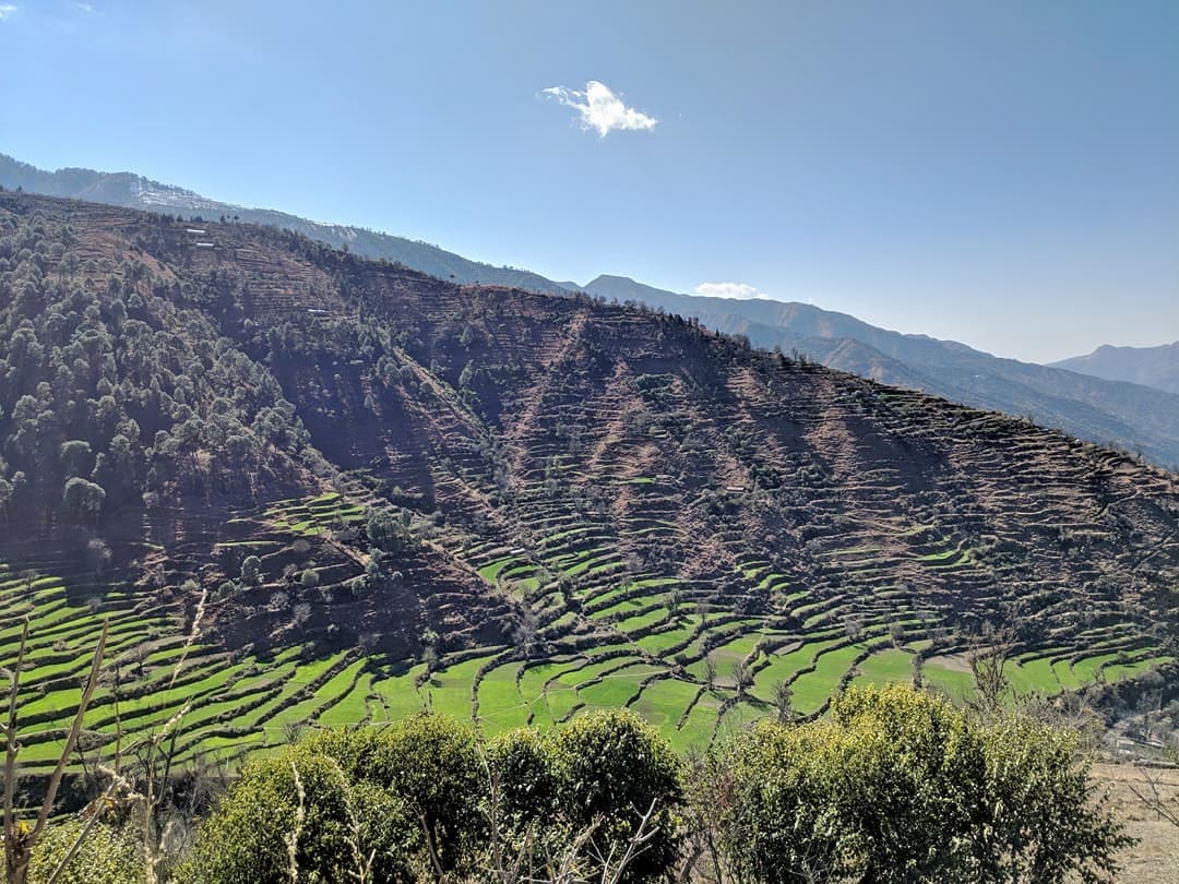 Nag Tibba Trek