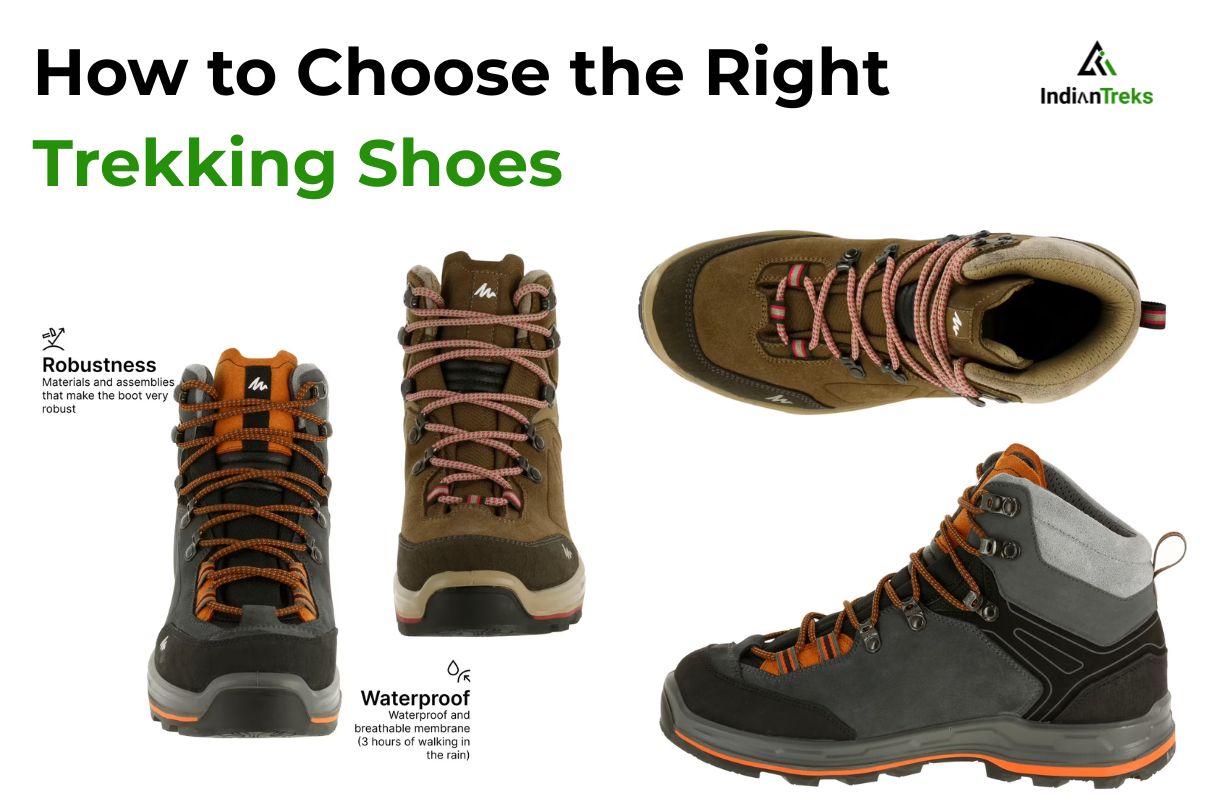 Read more about the article How to Choose the Right Trekking Shoes