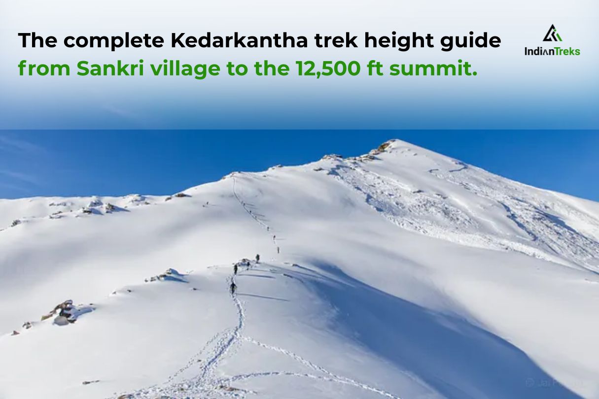 Read more about the article Kedarkantha Trek Height From Sankri to the Snowy Summit